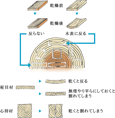 木材収縮図