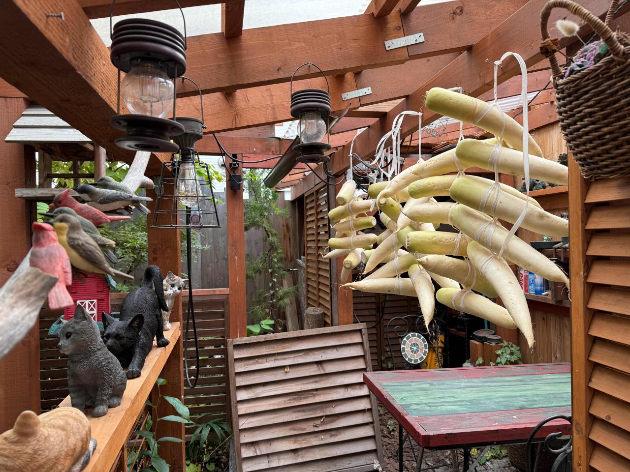 大根干し(鰊付け用)