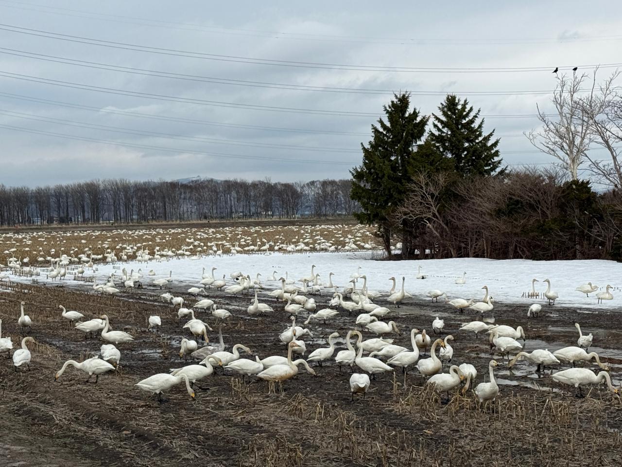 「世界が静かであるという奇跡」